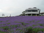 P1010221_1