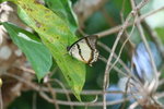 IMG_5307_1