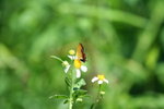IMG_5324_1