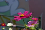IMG_6057_1