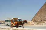 IMG-DOH_0140