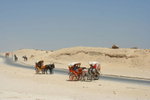 IMG-DOH_0144