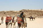 IMG-DOH_0146