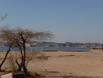 P_EGY-435
