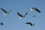 IMG-DOH_0205