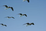IMG-DOH_0206