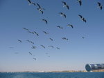 IMG-DOH_0237