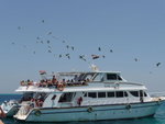 IMG-DOH_0255