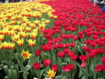 DSCN0466