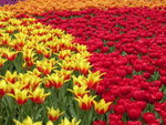 DSCN0468