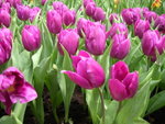 DSCN0469
