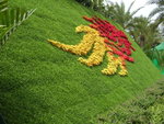 DSCN0473