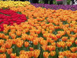 DSCN0476