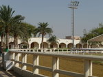 DPP_0437