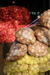 IMG-DOH_0007
