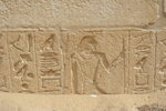 IMG-DOH_0136
