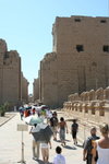 IMG-DOH_0306