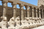 IMG-DOH_0354