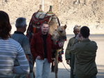 IMG-DOH_0402