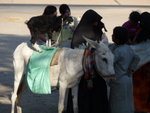 IMG-DOH_0403