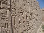IMG-DOH_0407