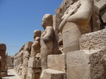 IMG-DOH_0424