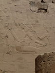 IMG-DOH_0429