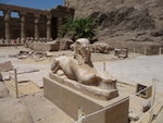 IMG-DOH_0434