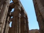 IMG-DOH_0446