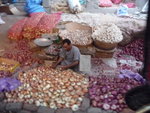 IMG-DOH_0478