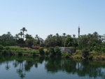P_EGY_258