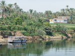 P_EGY_259