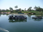 P_EGY_260