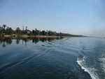P_EGY_262
