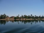 P_EGY_263