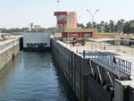 P_EGY_274