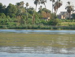 P_EGY_281