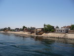 P_EGY-338