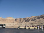 P_EGY_224
