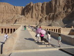 P_EGY_230