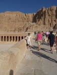 P_EGY_231