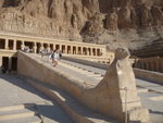 P_EGY_238