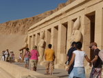 P_EGY_242