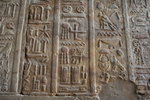 IMG_DOH-713