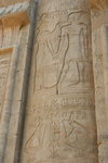 IMG_DOH-732