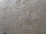 P_EGY-309