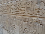 P_EGY-310