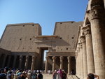 P_EGY-311
