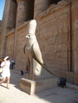 P_EGY-313