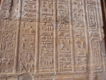 P_EGY-314